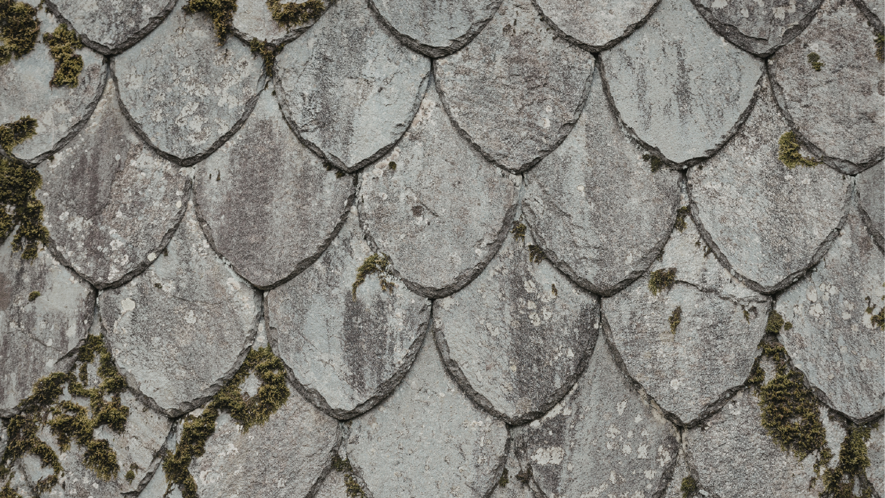 What Is “Wear and Tear” and Why Is It Used to Deny Florida Roof Claims?